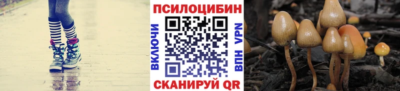 Галлюциногенные грибы ЛСД  Губаха 